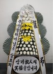 부산광역시남구 꽃배달, 부산광역시남구 꽃집, 부산광역시 남구 문현로36번길 31 꽃집, (문현동) 꽃집, 부산광역시 남구 문현로36번길 31 꽃배달... 