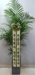 (내곡동) 오성농원 꽃집, 서울특별시 서초구 헌인릉1길 22 꽃배달, (내곡동) 오성농원 꽃배달 - 오성농원 플라워119꽃배달서비스 - 생일, 개업... 