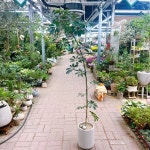 서수원로617번길 30 꽃집, 금곡동 944(금곡동) 꽃집, 경기도 수원시... 화병, 포도주, 와인, 결혼, 약혼, 아기탄생, 전시회, 연주회, 개업, 이전... 