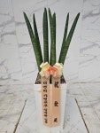 인천광역시남동구 꽃배달, 인천광역시남동구 꽃집, 인천광역시 남동구 매소홀로 816 꽃집, (구월동) 꽃집, 인천광역시 남동구 매소홀로 816... 
