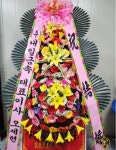 꽃집, (월성동) 꽃집, 대구광역시 달서구 월곡로94길 39 꽃배달, (월성동) 꽃배달 - 대구한국플라워 플라워119꽃배달서비스 - 생일, 개업, 축하... 