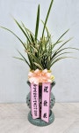경기도화성시 꽃배달, 경기도화성시 꽃집, 경기도 화성시 봉담읍 삼천병마로 1213 꽃집, 난사랑꽃농원 꽃집, 경기도 화성시 봉담읍 삼천병마로... 