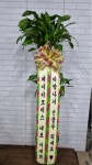 남사면 어진로 247 꽃집, 드존화훼유통 꽃집, 경기도 용인시 처인구 남사면 어진로 247 꽃배달, 드존화훼유통 꽃배달 - 드존화훼유통... 