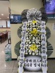 제주특별자치도서귀포시 꽃배달, 제주특별자치도서귀포시 꽃집, 제주특별자치도 서귀포시 일주동로 8626-1 꽃집, 1층(동홍동) 꽃집... 