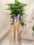 강원도원주시 꽃배달, 강원도원주시 꽃집, 강원도 원주시 문막읍 원문로 1794 꽃집, 문막식물원 꽃집, 강원도 원주시 문막읍 원문로 1794 꽃배달... 