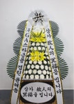 부산광역시남구 꽃배달, 부산광역시남구 꽃집, 부산광역시 남구 문현로36번길 31 꽃집, (문현동) 꽃집, 부산광역시 남구 문현로36번길 31 꽃배달... 