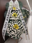 강원특별자치도속초시 꽃배달, 강원특별자치도속초시 꽃집, 강원특별자치도 속초시 이목로 140 꽃집, (노학동) 꽃집, 강원특별자치도 속초시... 
