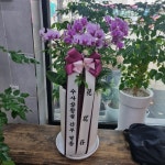 경기도연천군 꽃배달, 경기도연천군 꽃집, 경기도 연천군 전곡읍 전곡역로 2 꽃집, 국인상가 꽃집, 경기도 연천군 전곡읍 전곡역로 2 꽃배달... 