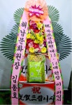 전라남도목포시 꽃배달, 전라남도목포시 꽃집, 전라남도 목포시 옥암로 46 꽃집, 에덴꽃동산(옥암동) 꽃집, 전라남도 목포시 옥암로 46 꽃배달... 