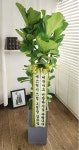 경기도과천시 꽃배달, 경기도과천시 꽃집, 경기도 과천시 광창2로 21 꽃집, 과천시 과천동 112-5(과천동) 꽃집, 경기도 과천시 광창2로 21 꽃배달... 