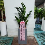 경기도화성시 꽃배달, 경기도화성시 꽃집, 경기도 화성시 봉담읍 삼천병마로 818 꽃집, 한백화훼유통 꽃집, 경기도 화성시 봉담읍 삼천병마로 818... 