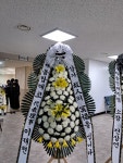 전라북도진안군 꽃배달, 전라북도진안군 꽃집, 전라북도 진안군 진안읍 학천변길 93 꽃집, 마이산꽃농원 꽃집, 전라북도 진안군 진안읍 학천변길... 