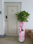 부산광역시해운대구 꽃배달, 부산광역시해운대구 꽃집, 부산광역시 해운대구 반송로 524 꽃집, (석대동) 은혜농원 꽃집, 부산광역시 해운대구... 