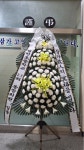 강원특별자치도횡성군 꽃배달, 강원특별자치도횡성군 꽃집, 강원특별자치도 횡성군 횡성읍 문정로 14 꽃집, 예삐꽃방 꽃집, 강원특별자치도... 
