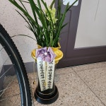 경기도화성시 꽃배달, 경기도화성시 꽃집, 경기도 화성시 봉담읍 삼천병마로 818 꽃집, 한백화훼유통 꽃집, 경기도 화성시 봉담읍 삼천병마로 818... 