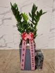 인천광역시남동구 꽃배달, 인천광역시남동구 꽃집, 인천광역시 남동구 매소홀로 816 꽃집, (구월동) 꽃집, 인천광역시 남동구 매소홀로 816... 