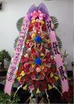 경기도가평군 꽃배달, 경기도가평군 꽃집, 경기도 가평군 청평면 청평중앙로 51 꽃집, 지하 꽃집, 경기도 가평군 청평면 청평중앙로 51 꽃배달... 