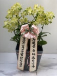 인천광역시남동구 꽃배달, 인천광역시남동구 꽃집, 인천광역시 남동구 매소홀로 816 꽃집, (구월동) 꽃집, 인천광역시 남동구 매소홀로 816... 