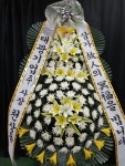 부산광역시남구 꽃배달, 부산광역시남구 꽃집, 부산광역시 남구 문현로 37-7 꽃집, 부산광역시 남구 진남로 188번길 52-17 꽃집, 부산광역시 남구... 