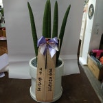 경기도포천시 꽃배달, 경기도포천시 꽃집, 경기도 포천시 영중면 양문로 100 꽃집, 꽃집, 경기도 포천시 영중면 양문로 100 꽃배달, 꽃배달 - 포천... 