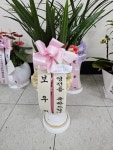 충청북도옥천군 꽃배달, 충청북도옥천군 꽃집, 충청북도 옥천군 옥천읍 문장로 68 꽃집, 우리꽃방 꽃집, 충청북도 옥천군 옥천읍 문장로 68... 