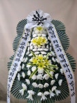경기도 성남시 수정구 신촌남로 19 꽃배달, 101호(신촌동) 꽃배달 - 주식회사 네온플라워 플라워119꽃배달서비스 - 생일, 개업, 축하, 근조 꽃배달... 