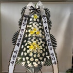강원특별자치도강릉시 꽃배달, 강원특별자치도강릉시 꽃집, 강원특별자치도 강릉시 강릉대로457번길 63 꽃집, (포남동) 꽃집, 강원특별자치도... 