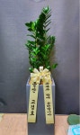 전라남도목포시 꽃배달, 전라남도목포시 꽃집, 전라남도 목포시 백년대로297번길 22 꽃집, 목포난도매(상동) 꽃집, 전라남도 목포시... 
