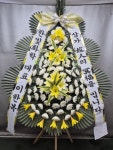대전광역시유성구 꽃배달, 대전광역시유성구 꽃집, 대전광역시 유성구 북유성대로 34 꽃집, 정플라워(노은동) 꽃집, 대전광역시 유성구... 