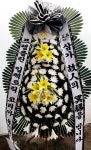 경기도양평군 꽃배달, 경기도양평군 꽃집, 경기도 양평군 양평읍 공흥로 34 꽃집, 드보라화원 꽃집, 경기도 양평군 양평읍 공흥로 34 꽃배달... 