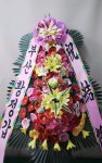 경기도 성남시 수정구 신촌남로 19 꽃배달, 101호(신촌동) 꽃배달 - 주식회사 네온플라워 플라워119꽃배달서비스 - 생일, 개업, 축하, 근조 꽃배달... 