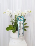 부산광역시중구 꽃배달, 부산광역시중구 꽃집, 부산광역시 중구 충장대로 6 꽃집, 중앙대로 80 노블리안2오피스텔304호 꽃집, 부산광역시 중구... 