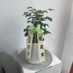 경기도이천시 꽃배달, 경기도이천시 꽃집, 경기도 이천시 구만리로 16 꽃집, (증일동) 꽃집, 경기도 이천시 구만리로 16 꽃배달, (증일동) 꽃배달... 