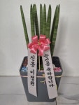 인천광역시남동구 꽃배달, 인천광역시남동구 꽃집, 인천광역시 남동구 매소홀로 816 꽃집, (구월동) 꽃집, 인천광역시 남동구 매소홀로 816... 
