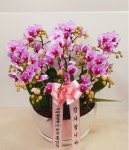 부산광역시부산진구 꽃배달, 부산광역시부산진구 꽃집, 부산광역시 부산진구 동평로420번길 18 꽃집, 56호 (4층)(양정동) 꽃집, 부산광역시... 