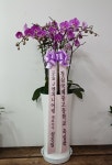 경기도가평군 꽃배달, 경기도가평군 꽃집, 경기도 가평군 청평면 청평중앙로 51 꽃집, 지하 꽃집, 경기도 가평군 청평면 청평중앙로 51 꽃배달... 