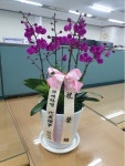 부산광역시해운대구 꽃배달, 부산광역시해운대구 꽃집, 부산광역시 해운대구 반송로 524 꽃집, (석대동) 은혜농원 꽃집, 부산광역시 해운대구... 