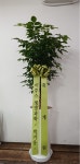 경기도가평군 꽃배달, 경기도가평군 꽃집, 경기도 가평군 청평면 청평중앙로 51 꽃집, 지하 꽃집, 경기도 가평군 청평면 청평중앙로 51 꽃배달... 