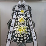 강원특별자치도강릉시 꽃배달, 강원특별자치도강릉시 꽃집, 강원특별자치도 강릉시 강릉대로457번길 63 꽃집, (포남동) 꽃집, 강원특별자치도... 