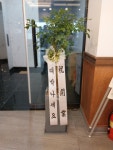 경상남도통영시 꽃배달, 경상남도통영시 꽃집, 경상남도 통영시 무전7길 186 꽃집, 금자빌딩 102호(무전동) 꽃집, 경상남도 통영시 무전7길 186... 