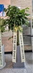 경기도화성시 꽃배달, 경기도화성시 꽃집, 경기도 화성시 봉담읍 삼천병마로 1213 꽃집, 난사랑꽃농원 꽃집, 경기도 화성시 봉담읍 삼천병마로... 