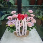 고흥군 고흥읍 여산당촌길 46 꽃집, (모아하이빌아파트) 102호... 고흥군 고흥읍 여산당촌길 46 꽃배달, (모아하이빌아파트) 102호 백양꽃화원... 