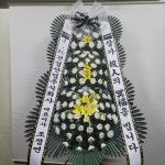 강원특별자치도강릉시 꽃배달, 강원특별자치도강릉시 꽃집, 강원특별자치도 강릉시 강릉대로457번길 63 꽃집, (포남동) 꽃집, 강원특별자치도... 
