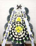 경기도고양시 일산동구 꽃배달, 경기도고양시 일산동구 꽃집, 경기도 고양시 일산동구 무궁화로386번길 29-13 꽃집, 식사동1021번지(식사동)... 