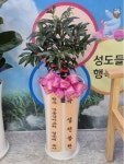 강원특별자치도횡성군 꽃배달, 강원특별자치도횡성군 꽃집, 강원특별자치도 횡성군 횡성읍 문정로 14 꽃집, 예삐꽃방 꽃집, 강원특별자치도... 