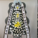 강원특별자치도강릉시 꽃배달, 강원특별자치도강릉시 꽃집, 강원특별자치도 강릉시 강릉대로457번길 63 꽃집, (포남동) 꽃집, 강원특별자치도... 