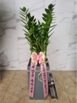 인천광역시남동구 꽃배달, 인천광역시남동구 꽃집, 인천광역시 남동구 매소홀로 816 꽃집, (구월동) 꽃집, 인천광역시 남동구 매소홀로 816... 