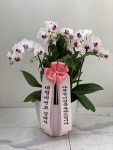 인천광역시남동구 꽃배달, 인천광역시남동구 꽃집, 인천광역시 남동구 매소홀로 816 꽃집, (구월동) 꽃집, 인천광역시 남동구 매소홀로 816... 