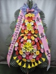 대전광역시유성구 꽃배달, 대전광역시유성구 꽃집, 대전광역시 유성구 북유성대로 34 꽃집, 정플라워(노은동) 꽃집, 대전광역시 유성구... 