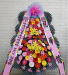 경기도파주시 꽃배달, 경기도파주시 꽃집, 경기도 파주시 황골로 87 꽃집, (금촌동)1.2호 부재중 우편거부 꽃집, 경기도 파주시 황골로 87 꽃배달... 